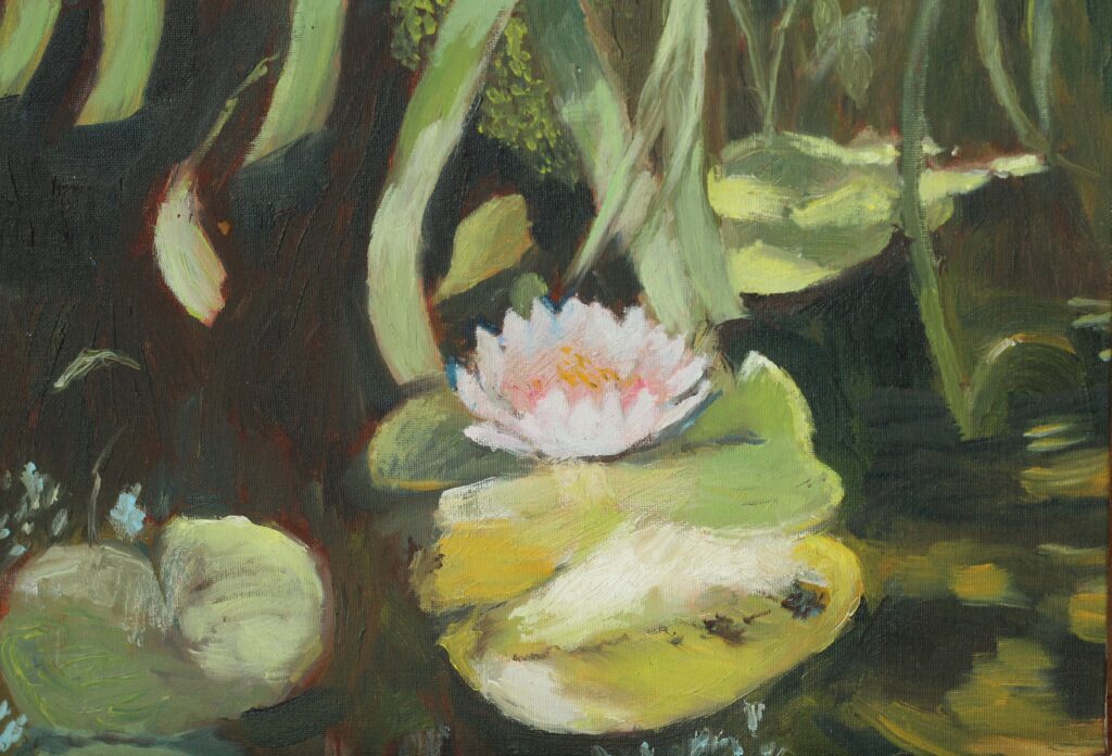 Pond with water lily